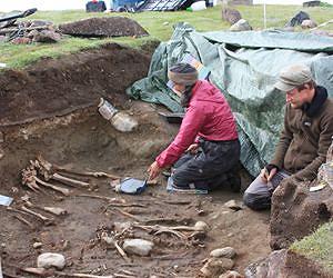 Greenland's viking settlers gorged on seals