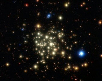 Stellar Family Proves To Be Surprisingly Normal