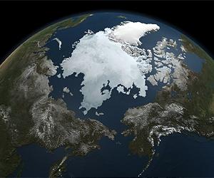 A Snapshot Of Sea Ice