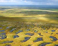 Dissapearing Arctic Lakes Linked To Climate Change