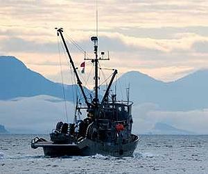 Scientists call for Arctic fishing moratorium, rules
