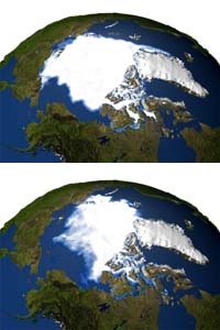 Arctic And Antarctic Sea Ice Marching To Different Drivers