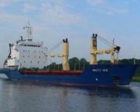 Arctic Sea captain claimed N. Korean flag at first encounter: Russia