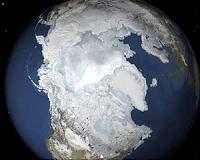 Warming winter seas could be disrupting fish stocks