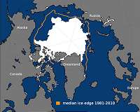 Arctic and mid-latitudes in complex weather interplay