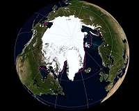 Natural climate variability explains almost half of Arctic sea ice loss