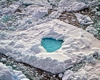 Arctic sea ice influenced force of the Gulf Stream