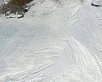 Arctic sea ice loss expected to be bumpy in the short term
