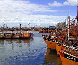 Study highlights snowball effect of overfishing