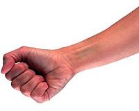 Study: Cadaver arms suggest human fists evolved for punching, too
