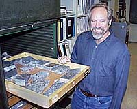 Mass Extinctions May Promote Longevity Of New Species