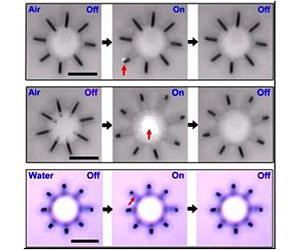 Flexing fingers for micro-robotics: Berkeley Lab scientists create a powerful, microscale actuator