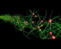 A first glimpse inside a macroscopic quantum state