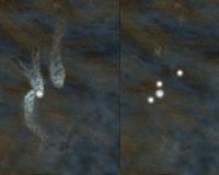 Birth of a star quartet