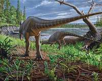 New turkey-sized dinosaur from Australia preserved in an ancient log-jam
