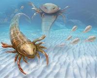 Giant 'sea scorpion' fossil discovered