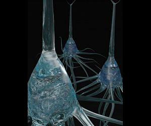 A better brain implant: Slim electrode cozies up to single neurons