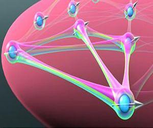 Quantum effects help cells capture light, but the details are obscure