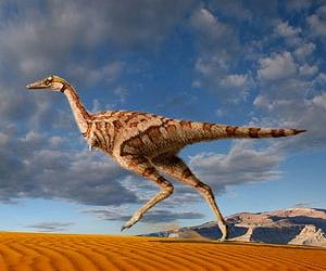 One-clawed dino belonged to T. Rex family