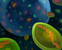 Tel Aviv researchers develop biodegradable plastic from seawater algae