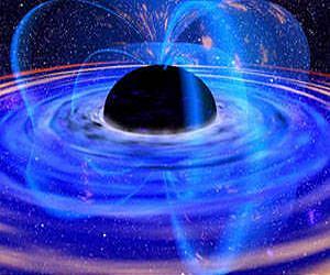 LHC experiments bring new insight