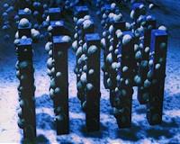 Electronic entropy enhances water splitting