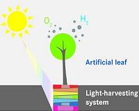 The path to artificial photosynthesis