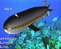 Biologically Inspired Sensors Can Augment Sonar, Vision System In Submarines