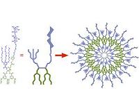 Researchers develop artificial membranes with programmable surfaces