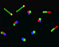 Artificial molecules