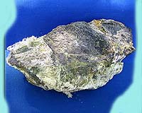 Russia helps block export restriction on asbestos