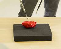 Speedy collision detector could make robots better human assistants