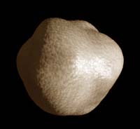 U.Arkansas Targets Asteroid Sample Return Mission