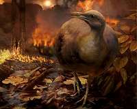 Asteroid impact, not volcanoes, made the Earth uninhabitable for dinosaurs