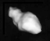 Large Asteroid Will Zoom Safely Past Earth Wednesday