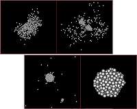 Queen's Brian May works to probe origin of asteroids