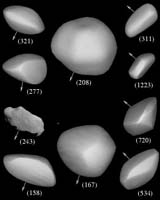 Sunlight makes asteroids spin in strange ways