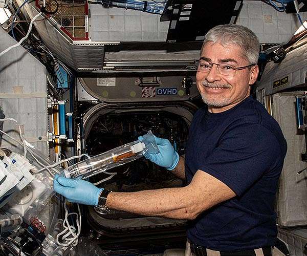 Astronaut hits 300 days in space, on way to break NASA record
