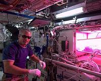 Botanical Studies, Dragon Departure Preps for ISS Crew