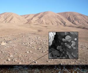Microbial oasis discovered beneath the Atacama Desert