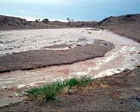 Fifteen killed in Utah flash floods