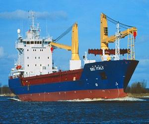 German ship firm says no arms on Syria-bound vessel