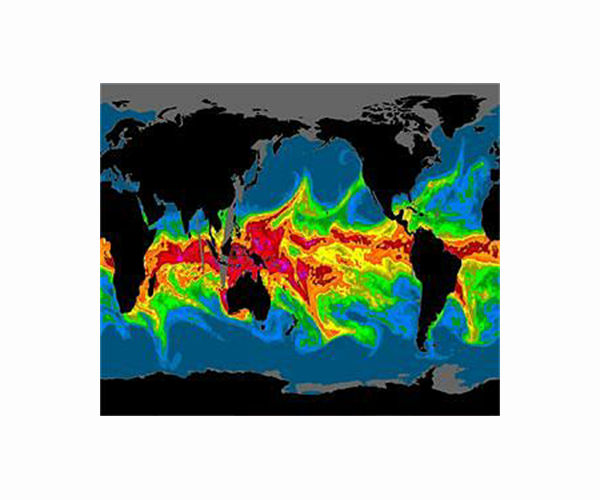 Climate change caused hurricanes to dump more rain in 2020, study says