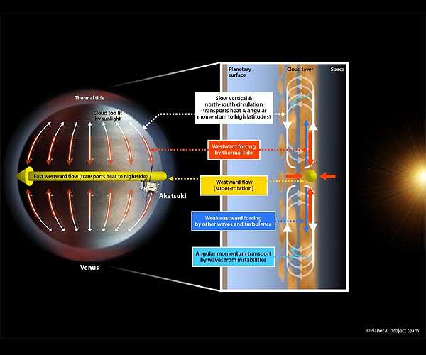 Why Venus rotates, slowly, despite sun's powerful grip