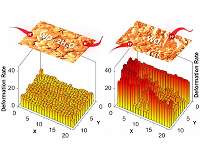 Microscopy advance reveals unexpected role for water in energy storage material