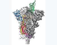 Scientists announce 'breakthrough' atomic map of coronavirus
