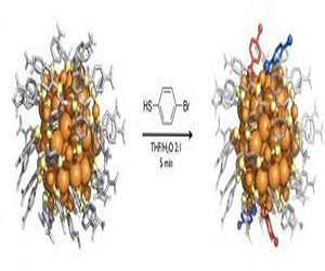 New structural information on functionalization of gold nanoparticles