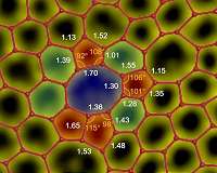 NUS scientists create world's first monolayer amorphous film