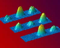 Physicists Show Coherence Of Bose-Einstein Condensates Extends To Spin State Of Atoms
