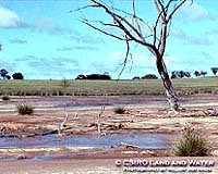 CSIRO Says Australian Agriculture Industry Faces Environmental Collapse